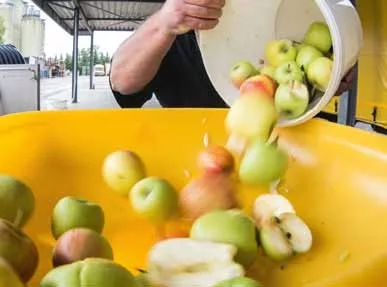 Befüllen der Speidel Obstmühle mit Äpfeln