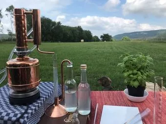 Kontinuierlicher Ölabscheider für ätherische Öle, 63 ml