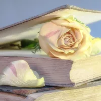 Fachbücher