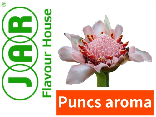 JAR Punsch-Aroma – Produktansicht